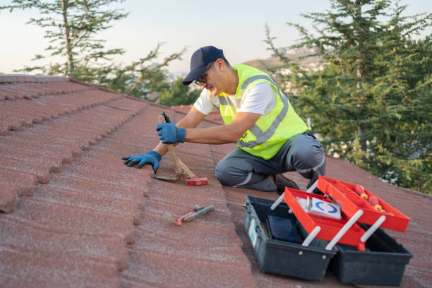 Best Residential Roofing Contractor  in Wyong, MI